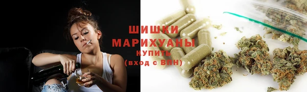 спайс Нея