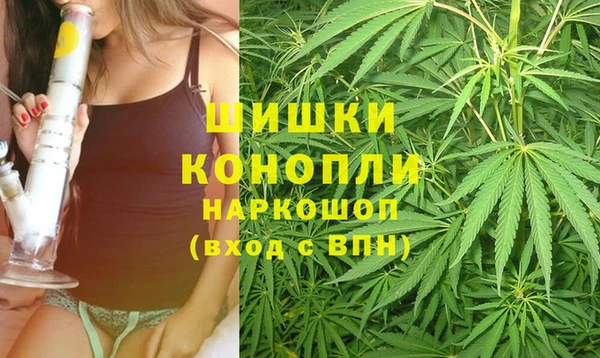 спайс Нея