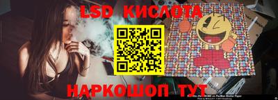 прущие крисы Гатчина