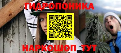 прущие крисы Гатчина