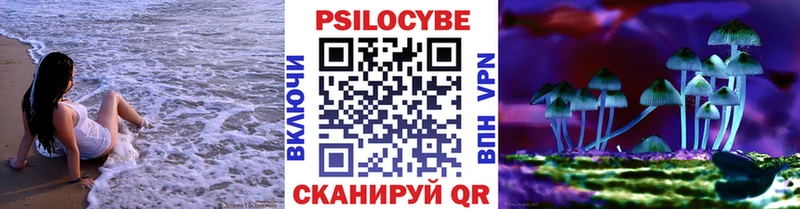 Псилоцибиновые грибы Psilocybe  наркошоп  Уварово 