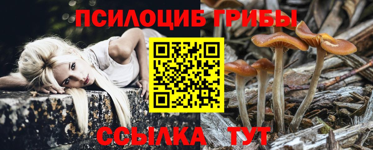 Галлюциногенные грибы Psilocybine cubensis Уварово
